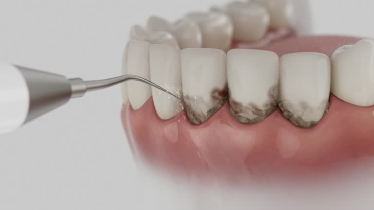Reliable Dental contractor in Port St. Lucie, FL by Dentist Open Now